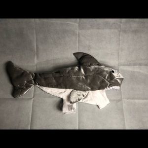 Dogs shark costume